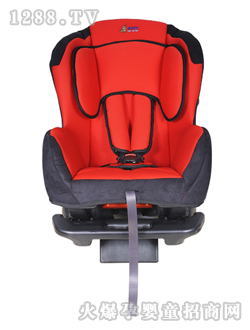 �ڶ�˹�t�ڰ�ȫ����