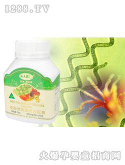 �İ��������������z��