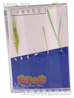 ؐС�����Lʷ�̾�