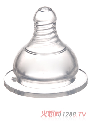 �ѐی��ڏ�ĸ�錍������S̖