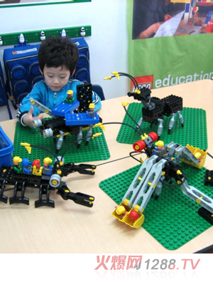 �����ھ�C�eľ���