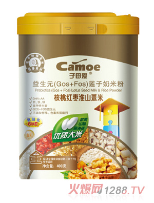 子母愛yingy核桃紅棗淮山薏米奶米粉