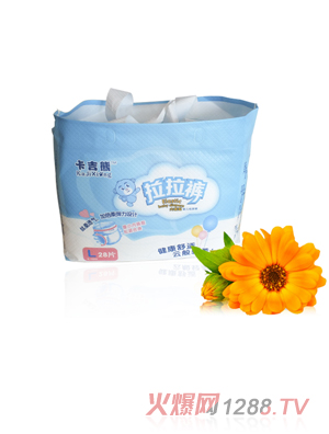 ����������ѝ�{ɫ���bL28