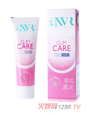 �ϓP(y��ng)NVR�ջ���������