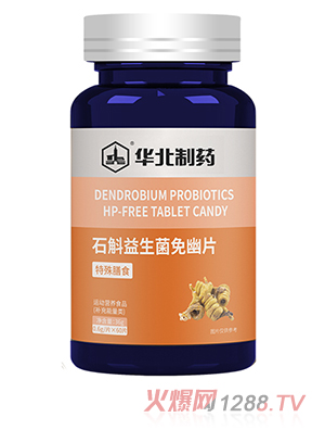 �A����ˎʯ������������Ƭ