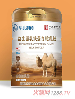 �A����ˎ���������F��������